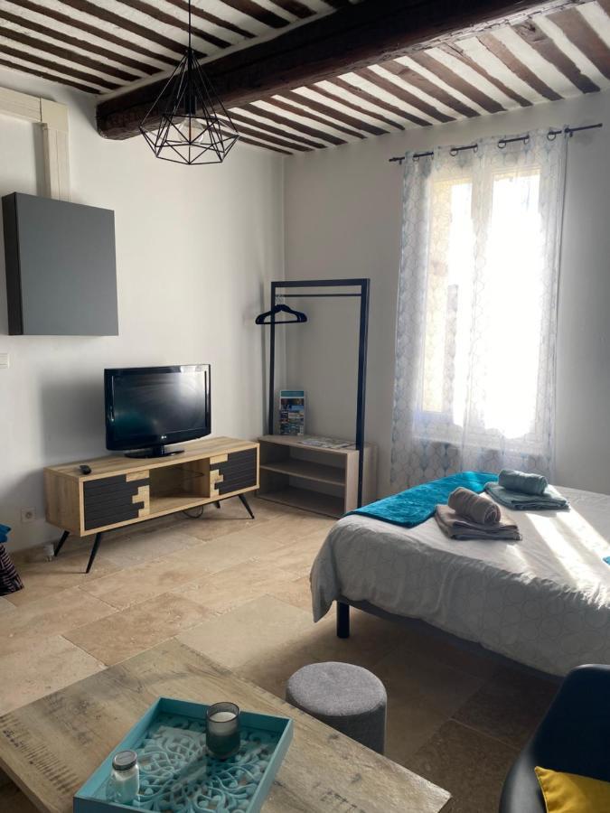Studio De Charme Le Clos De L'Etang + Place De Parking LʼIsle-sur-la-Sorgue Zewnętrze zdjęcie