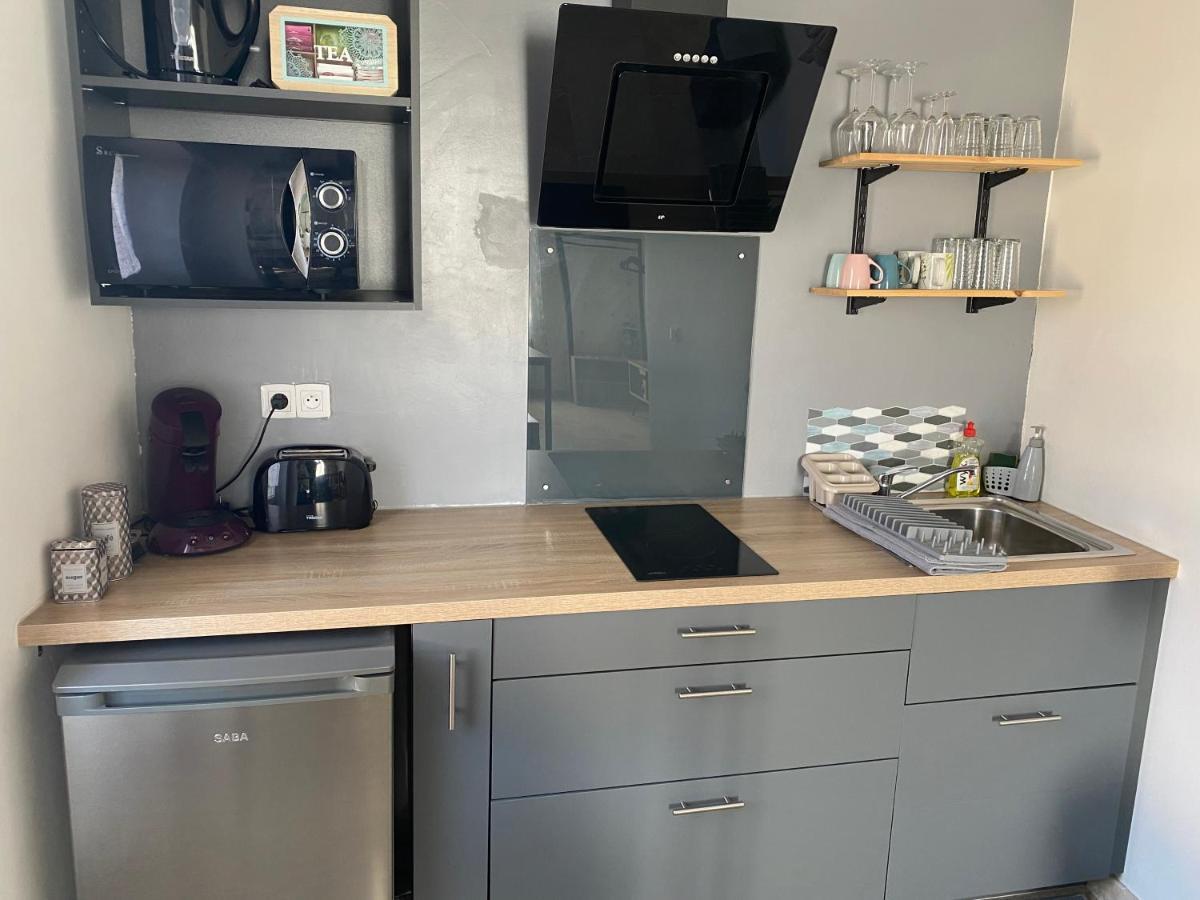 Studio De Charme Le Clos De L'Etang + Place De Parking LʼIsle-sur-la-Sorgue Zewnętrze zdjęcie