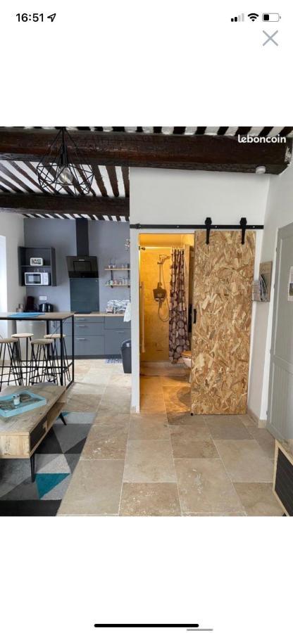 Studio De Charme Le Clos De L'Etang + Place De Parking LʼIsle-sur-la-Sorgue Zewnętrze zdjęcie