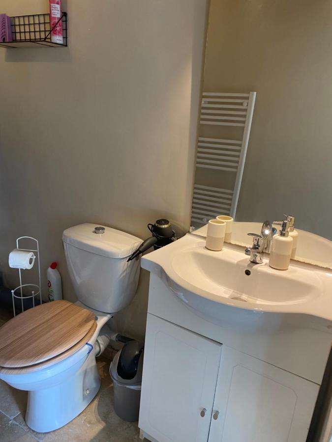 Studio De Charme Le Clos De L'Etang + Place De Parking LʼIsle-sur-la-Sorgue Zewnętrze zdjęcie