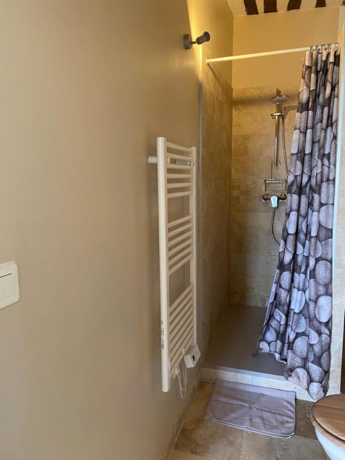 Studio De Charme Le Clos De L'Etang + Place De Parking LʼIsle-sur-la-Sorgue Zewnętrze zdjęcie